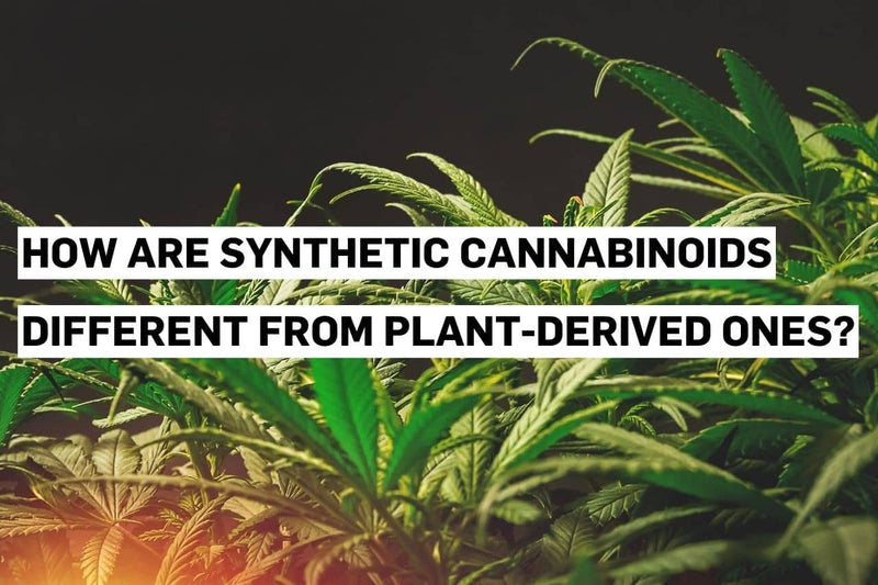 Synthetic cannabinoids compared to natural plant-derived cannabinoids.