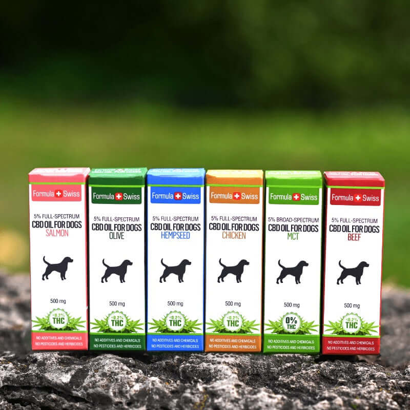 Comprar óleo CBD para animais de estimação