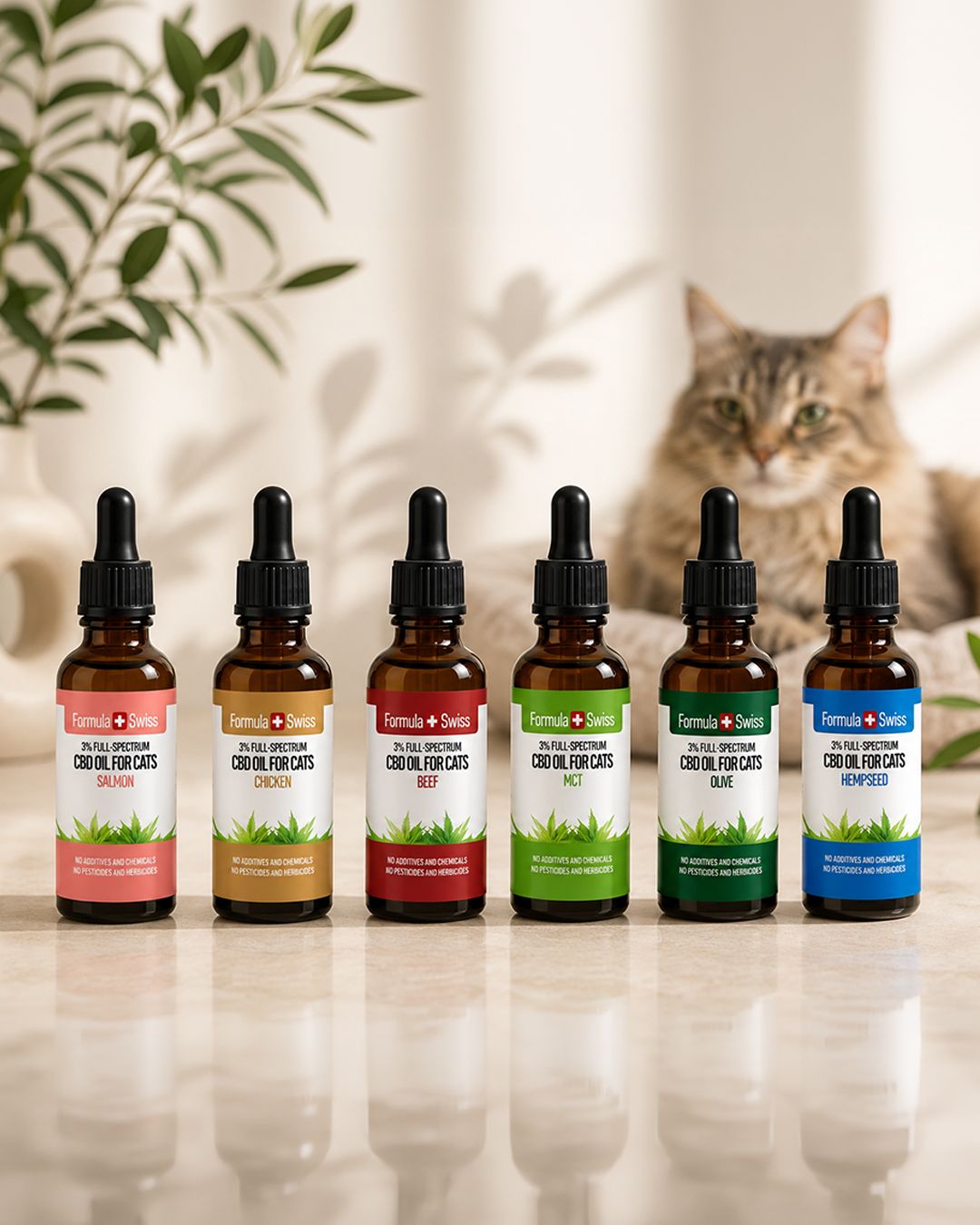 Óleo CBD para gatos