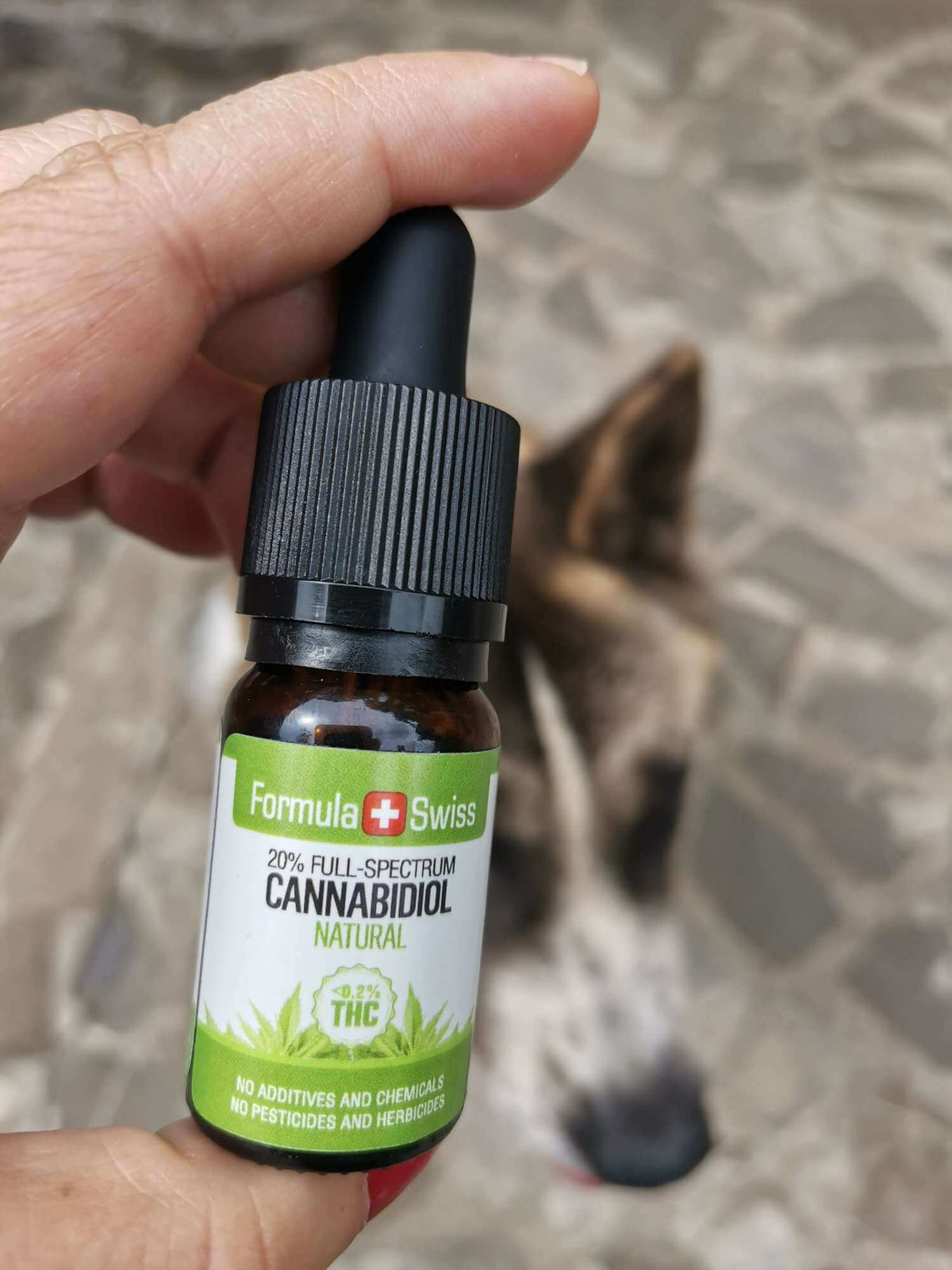 Formula Swiss óleo CBD orgânico em óleo natural